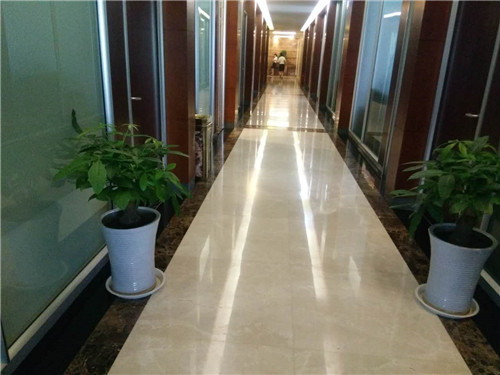 大明宮集團(tuán)