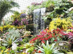 第四屆上海國(guó)際蘭展舉辦