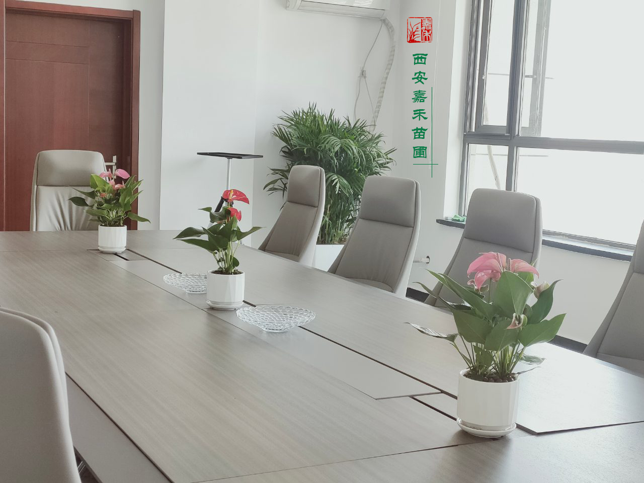 醫(yī)院會議室綠植租擺設(shè)計|嘉禾苗圃