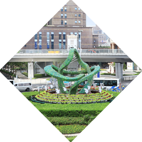 廠(chǎng)區(qū)綠化養(yǎng)護(hù)