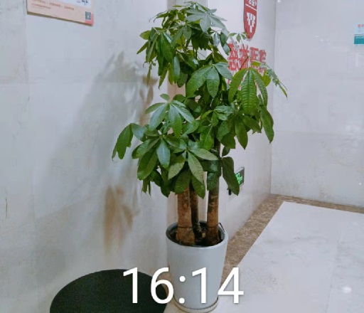 20230602/64794ae144fa5.jpg 5e9e3e6e9380f9229cc08755a01dbf7.jpg