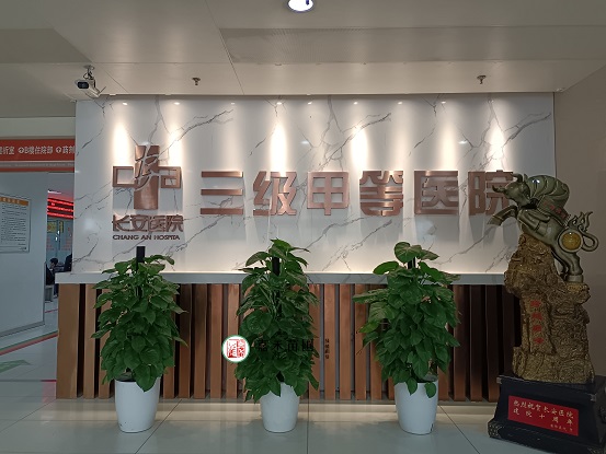 西安綠植租賃圖片|西安嘉禾苗圃 西安綠植租賃圖片|西安嘉禾苗圃