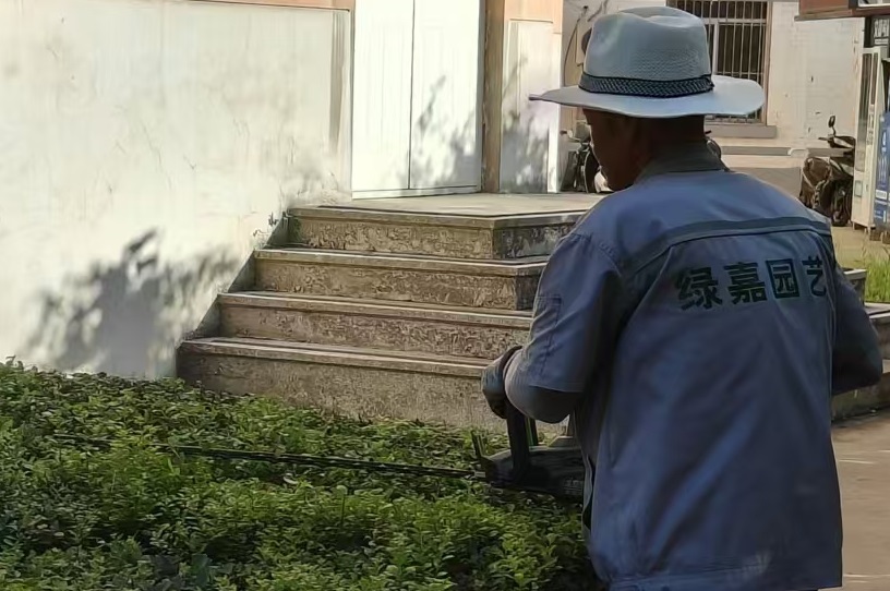 園林養(yǎng)護(hù)的器具該如何保養(yǎng)？