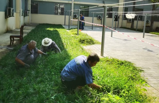 草坪綠化養(yǎng)護(hù)：陜西嘉潤(rùn)園林