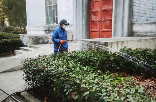 草坪冬季可以澆水嗎