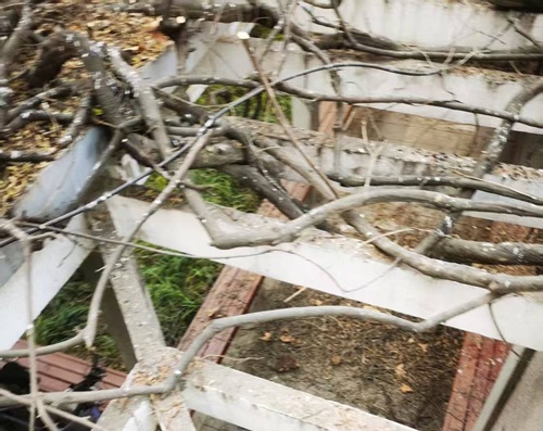 陜西嘉潤(rùn)園林 陜西嘉潤(rùn)園林