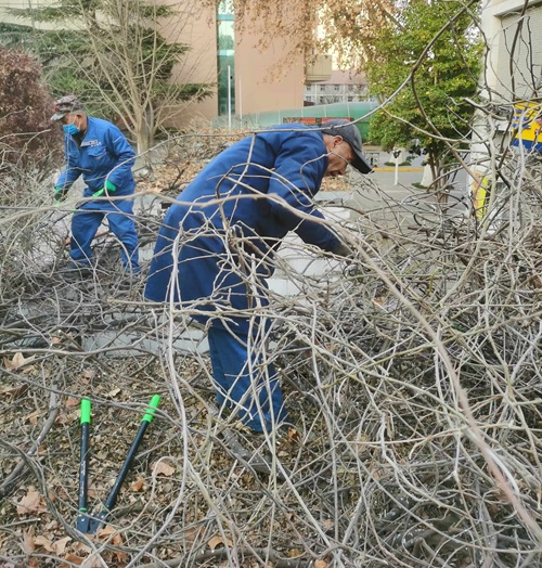 陜西嘉潤(rùn)園林 陜西嘉潤(rùn)園林